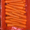 Qualidade superior da cenoura chinesa fresca
